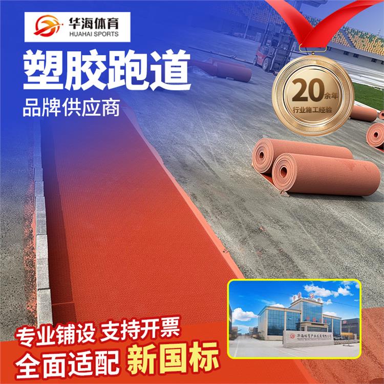 赣州市半预制跑道人造草坪 - 厂家